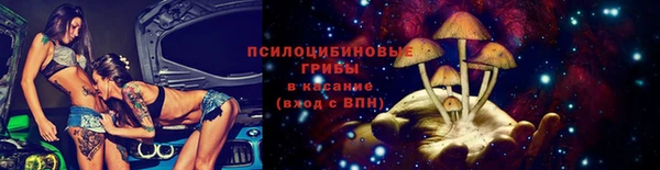 винт Алзамай