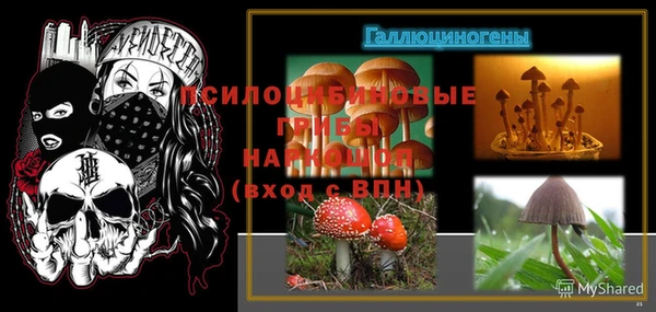 винт Алзамай