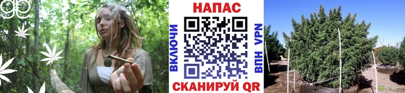 omg зеркало  Арамиль  МАРИХУАНА Ganja 